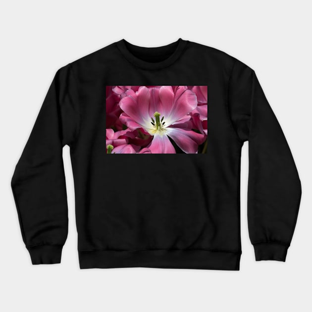 TULIP Crewneck Sweatshirt by likbatonboot